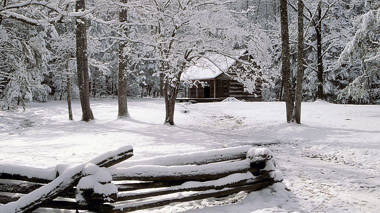 горы, зима, снег, Теннесси, кабина, Национальный парк - обои на рабочий стол