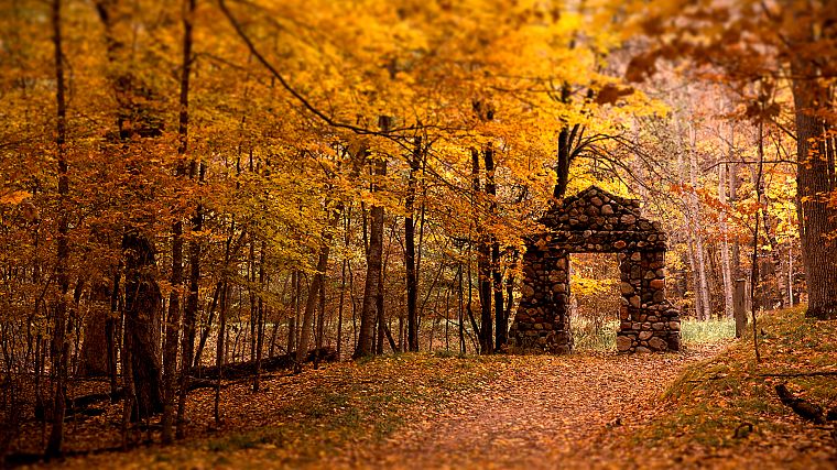 пейзажи, природа, деревья, осень, желтый цвет, леса, поля, камни, ворота, тропа - обои на рабочий стол