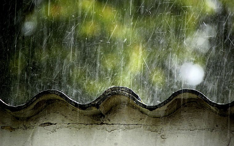 природа, дождь - обои на рабочий стол