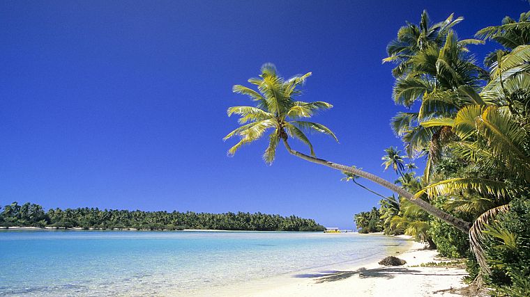 Солнце, песок, острова Кука, пальмовые деревья - обои на рабочий стол