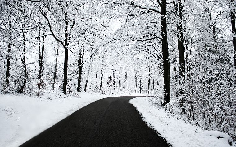 природа, зима, снег, деревья, дороги - обои на рабочий стол