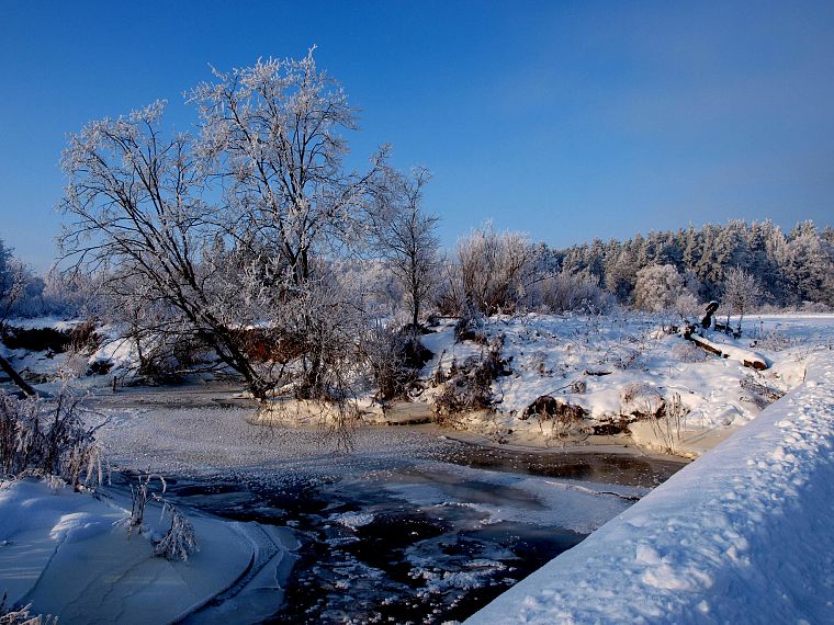 пейзажи, природа, зима, снег, деревья, белый, замороженный, Литва, ttic24 - обои на рабочий стол
