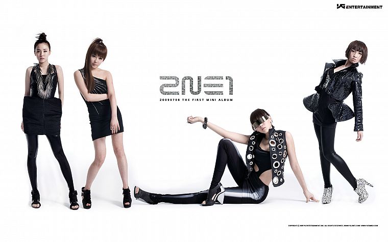 2NE1, Дара, Minzy, Пак Бом, K-Pop, CL ( певица ), белый фон - обои на рабочий стол