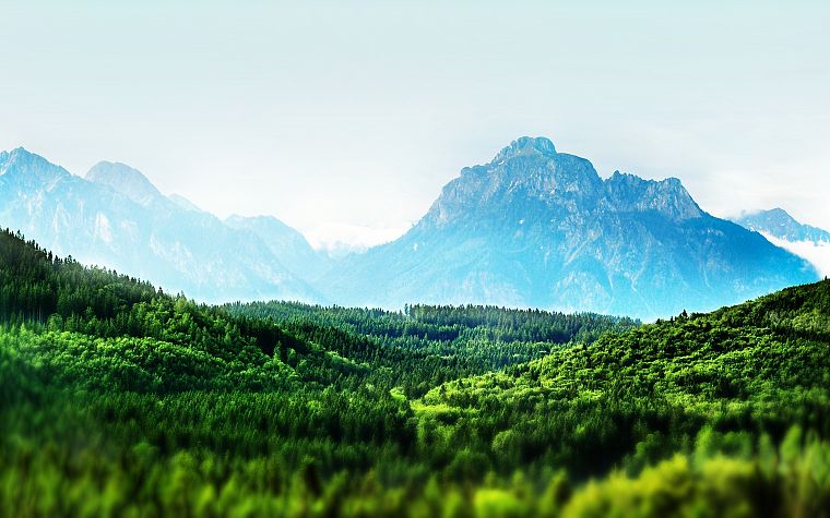 горы, пейзажи, леса, туман, Бавария, сдвигом и наклоном - обои на рабочий стол