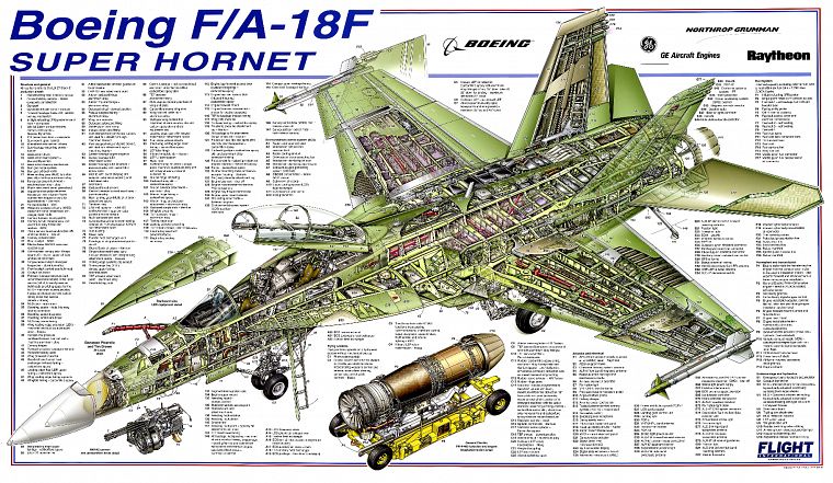 Hornet самолетов, Боинг, инфографика, F- 18 Hornet - обои на рабочий стол