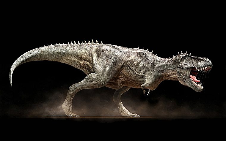 динозавры, Tyrannosaurus Rex - обои на рабочий стол
