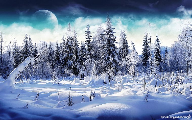 зима, снег, Луна, чудес - обои на рабочий стол