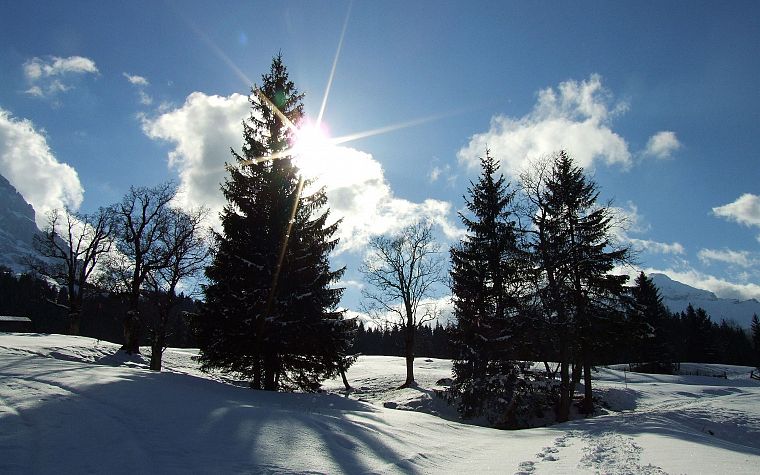 пейзажи, природа, зима, снег, деревья, HDR фотографии - обои на рабочий стол