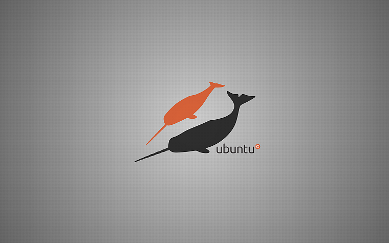 природа, Ubuntu, операционные системы, киты, нарвал, Ubuntu 11.04 Natty Narwhal - обои на рабочий стол