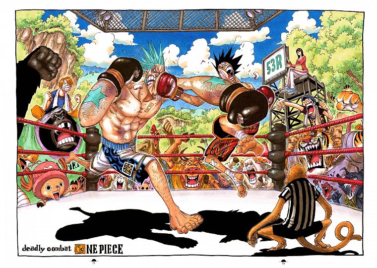 Робин, животные, One Piece ( аниме ), прерыватель, Фрэнки ( One Piece ), Обезьяна D Луффи, Usopp, Санджи ( One Piece ) - обои на рабочий стол
