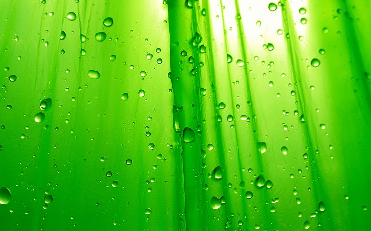 зеленый, капли воды, конденсация - обои на рабочий стол