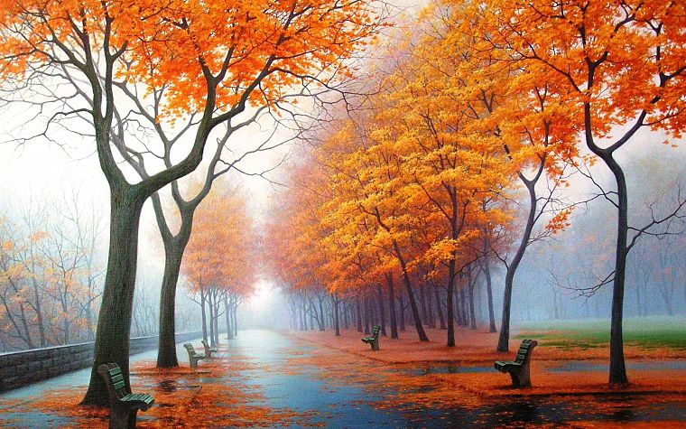 вода, пейзажи, деревья, осень, дождь, оранжевый цвет, листья, туман, скамья, парки - обои на рабочий стол
