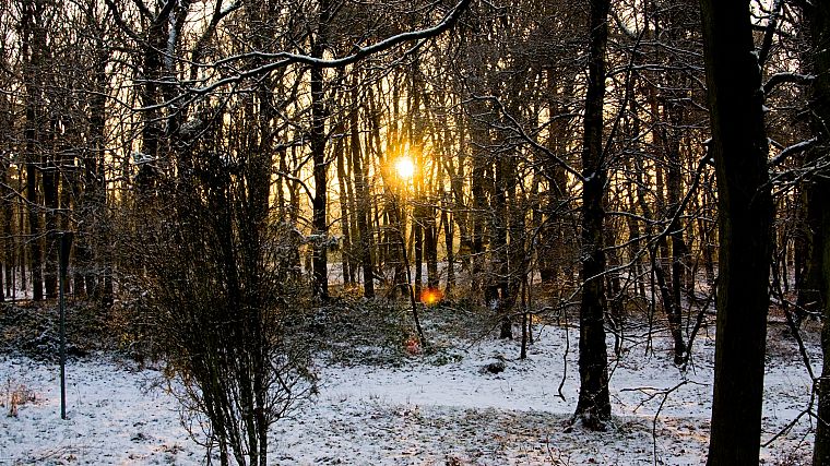 закат, пейзажи, зима, Солнце, леса - обои на рабочий стол
