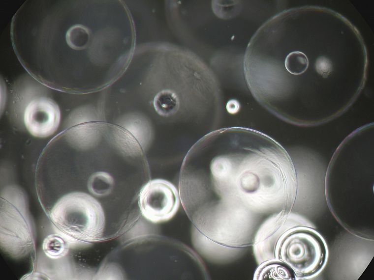 пузыри, оттенки серого - обои на рабочий стол