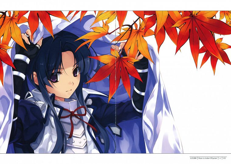 листья, Сэнгоку Ранс, Мисаки Kurehito - обои на рабочий стол