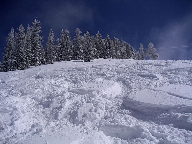 снег, деревья, лыжа, зимние пейзажи - обои на рабочий стол