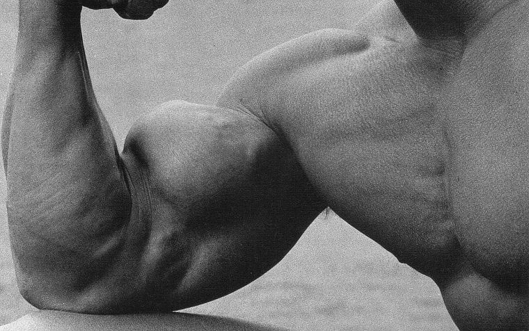 Арнольд Шварценеггер, мышцы, мышечная - обои на рабочий стол