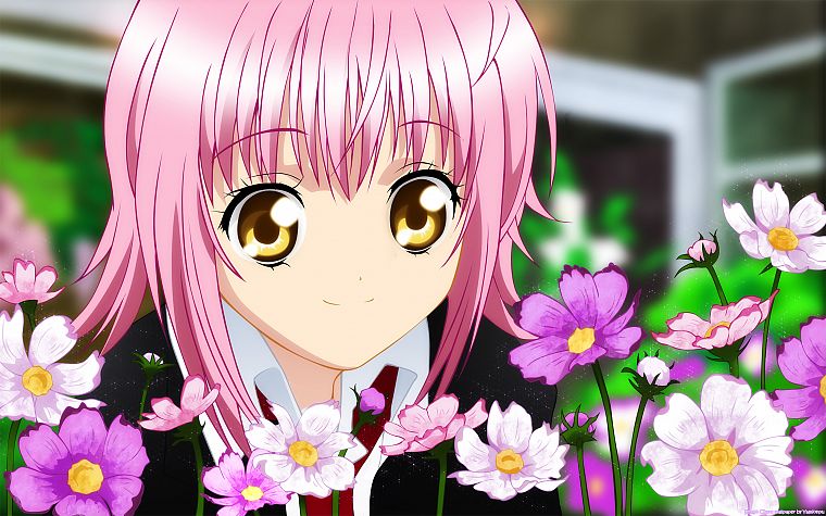 розовые волосы, Shugo Chara !, золотые глаза, Hinamori Аму, аниме девушки - обои на рабочий стол