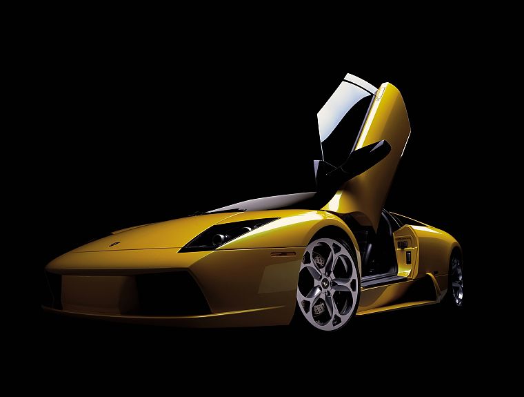 автомобили, транспортные средства, Lamborghini Murcielago - обои на рабочий стол