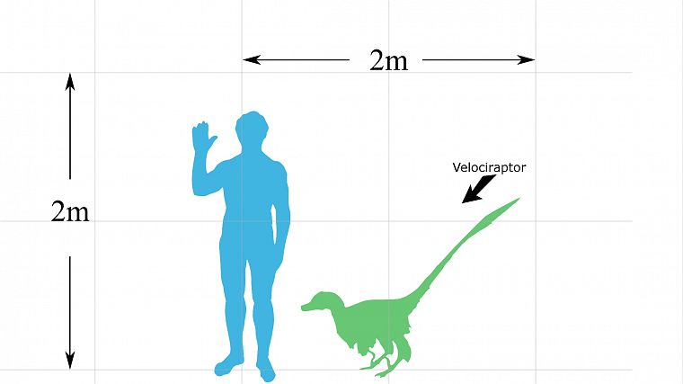 динозавры, Велоцираптор, упрощенный - обои на рабочий стол