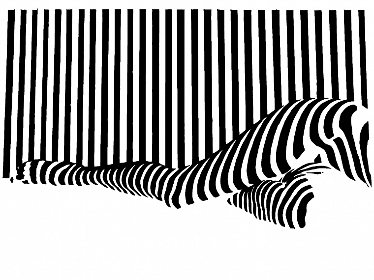 черно-белое изображение, полосы - обои на рабочий стол