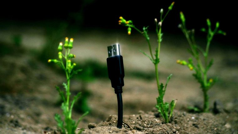 USB, растения - обои на рабочий стол