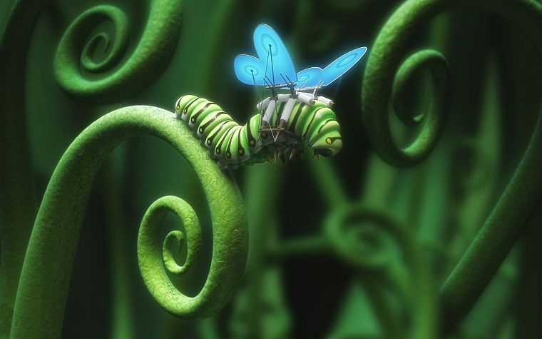 крылья, гусеницы, бабочки - обои на рабочий стол