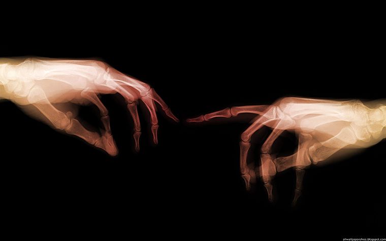 руки, X-Ray, кости - обои на рабочий стол