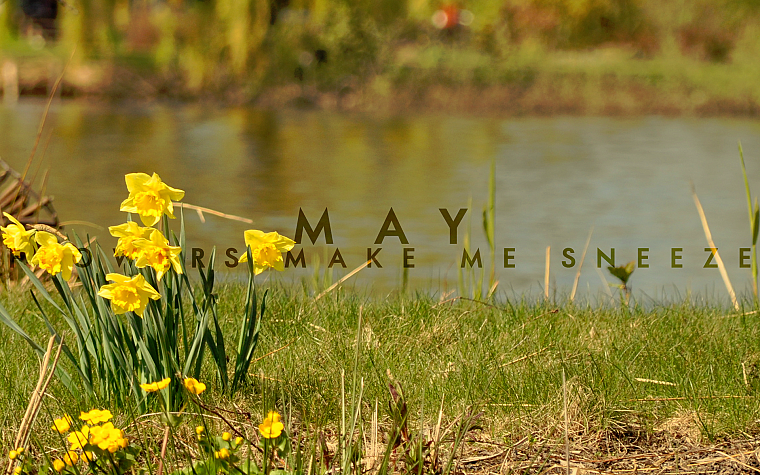 цветы, май, трава, глубина резкости, реки - обои на рабочий стол