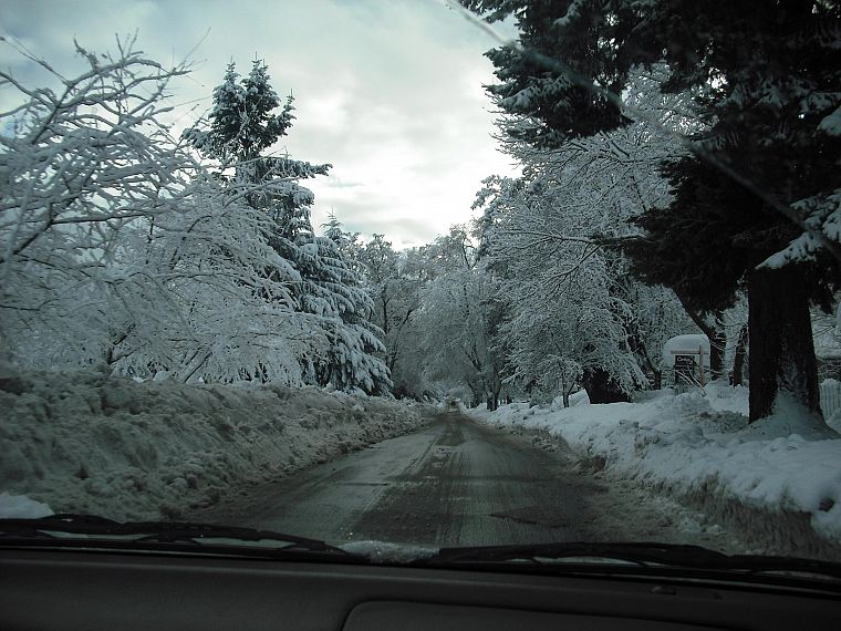 зима, снег, леса, автомобили, дороги - обои на рабочий стол