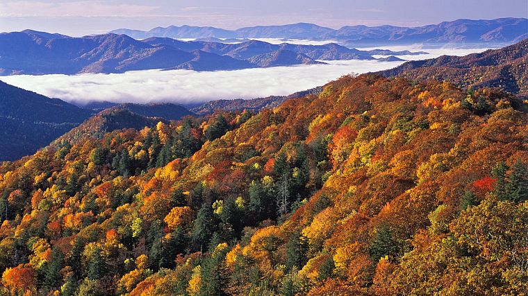 пейзажи, природа, туман, Национальный парк, Грейт-Смоки- горы, Северная Каролина - обои на рабочий стол