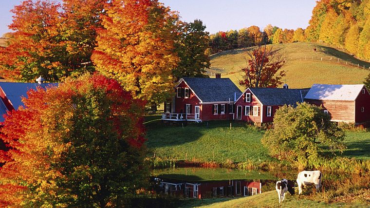 осень, хозяйства, Вермонт - обои на рабочий стол