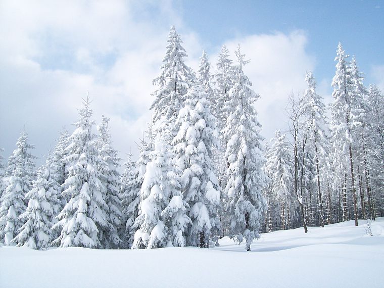 пейзажи, зима, снег, Земля - обои на рабочий стол