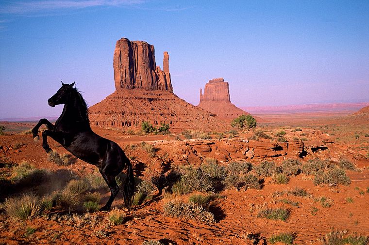 природа, животные, лошади, скальные образования - обои на рабочий стол