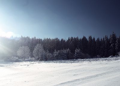 пейзажи, природа, зима, снег - оригинальные обои рабочего стола