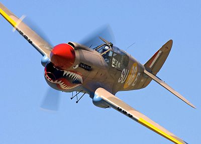самолет, военный, Вторая мировая война, P40 Warhawk - обои на рабочий стол