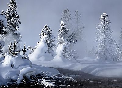 пейзажи, зима, снег, снежные деревья - копия обоев рабочего стола