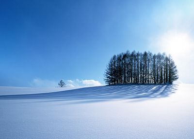 пейзажи, снег, деревья, зимние пейзажи - оригинальные обои рабочего стола