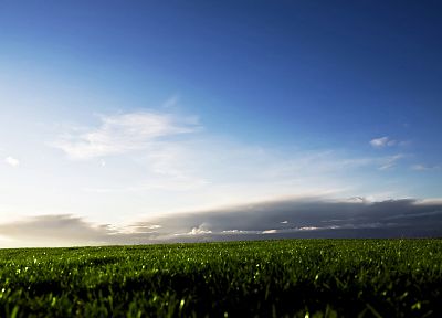 трава, поля, небо - оригинальные обои рабочего стола
