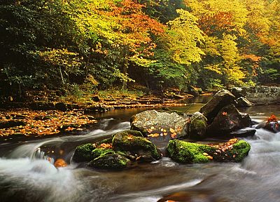 осень, листья, скалы, течь, реки, Северная Каролина - случайные обои для рабочего стола