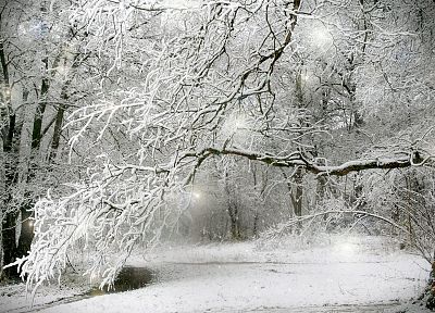 зима, деревья, ТВ-шоу - случайные обои для рабочего стола