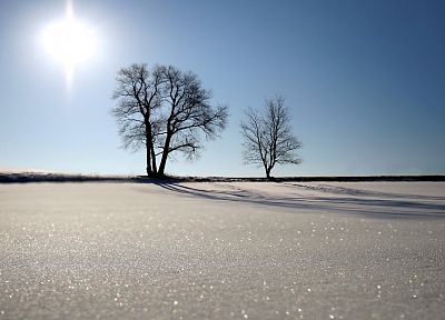 пейзажи, зима, снег, Солнце, деревья, солнечный свет, голубое небо - оригинальные обои рабочего стола