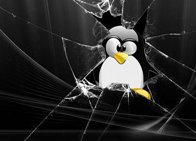 стекло, Linux, смокинг, пингвины - оригинальные обои рабочего стола