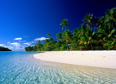 вода, пальмовые деревья, пляжи - оригинальные обои рабочего стола
