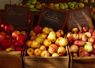фрукты, яблоки - оригинальные обои рабочего стола