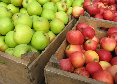 фрукты, еда, яблоки - оригинальные обои рабочего стола