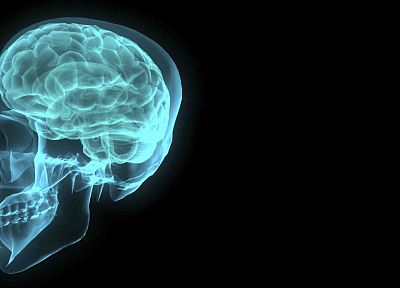 черепа, мозг, X-Ray - оригинальные обои рабочего стола