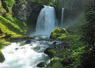 природа, леса, национальный, Орегон, водопады, реки - обои на рабочий стол