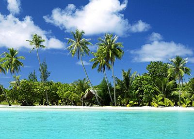 облака, пальмовые деревья, пляжи - оригинальные обои рабочего стола