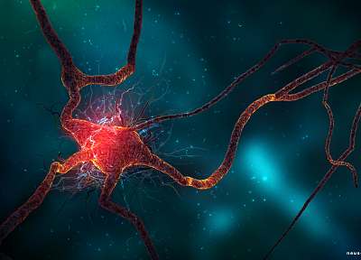научная фантастика, неврология, синапс, нейроны - случайные обои для рабочего стола